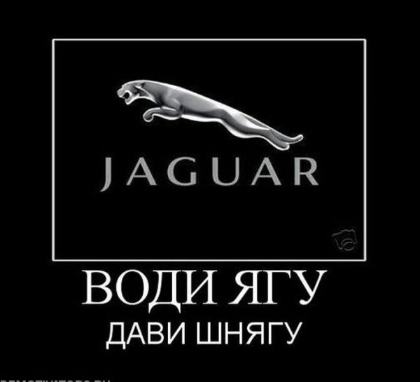 Демотиватор Jaguar