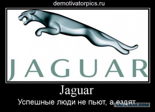Шутки про Ягуар