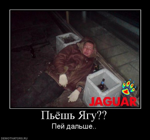 Гопники пьют Ягуар