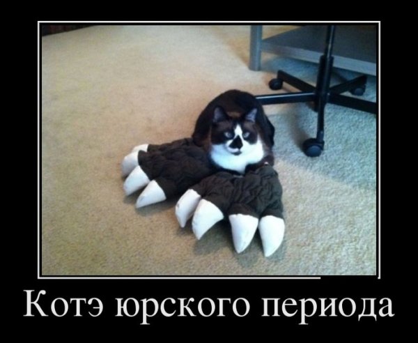 Демотиваторы Триникси смешные