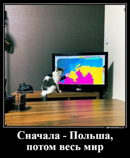 Анжела демотиватор