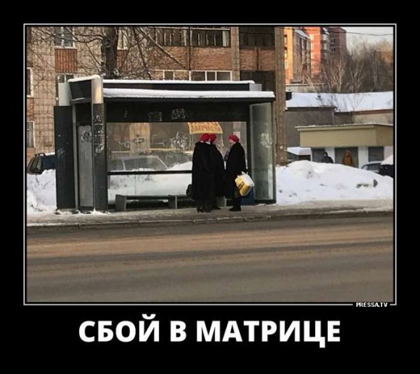 Нео на скамейке