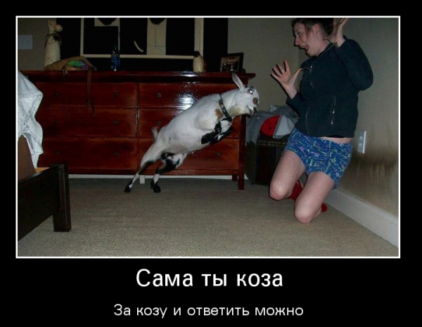 Женщина коза демотиватор