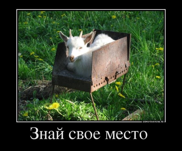 Демотиватор смирись