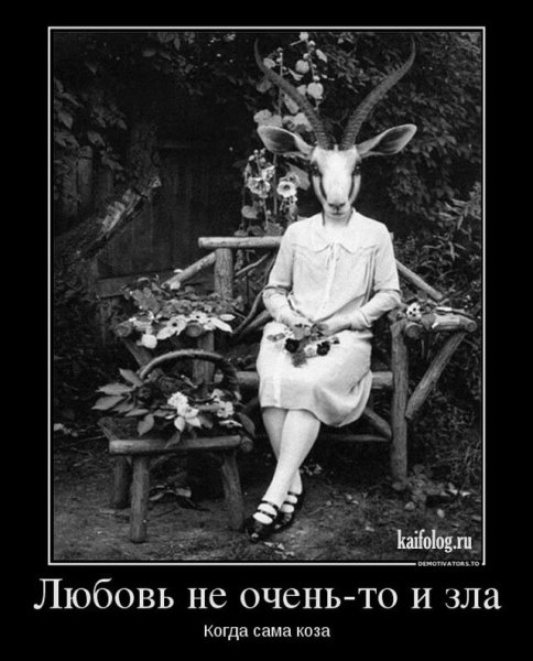 Любовь не так уж и зла когда сама коза