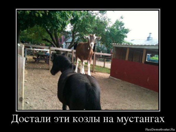 Козел демотиватор