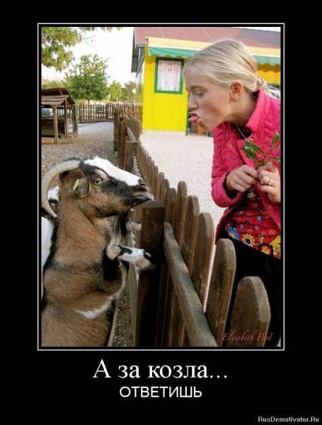 Приколы про Козлов