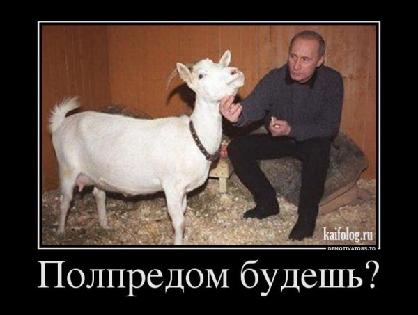 Мужик с козой