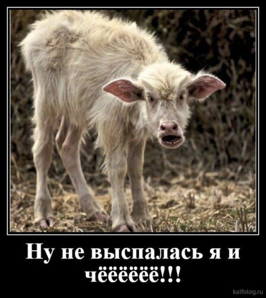 Злая коза