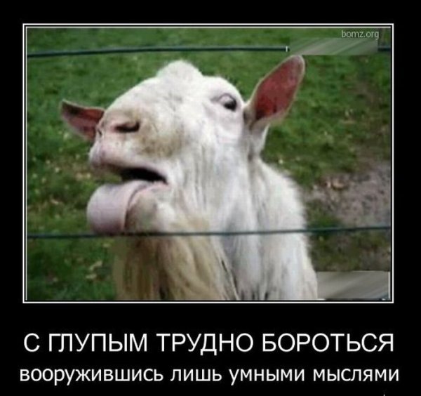 Демотиваторы мужики козлы