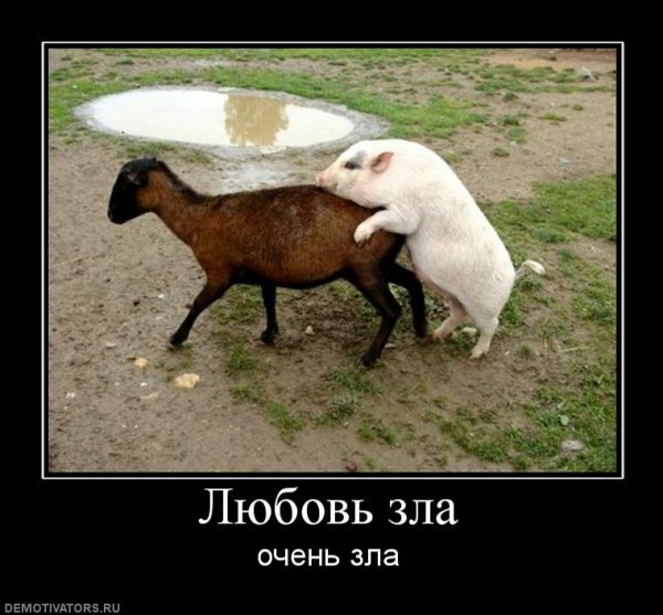 Коза демотиватор