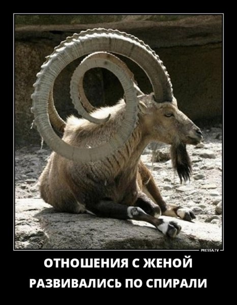 Ослепили демотиватор