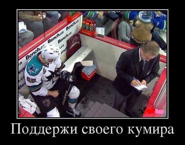 Хоккей демотиватор прикол