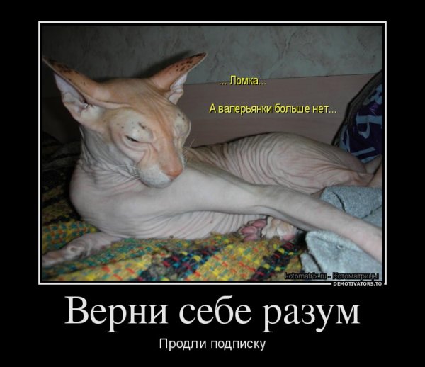 Demotivators.to картинки