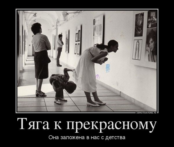 Любопытство демотиватор