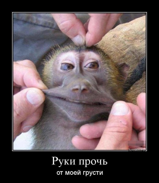 Весёлые демотиваторы для поднятия настроения