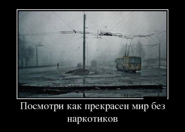 Как прекрасна жизнь без наркотиков