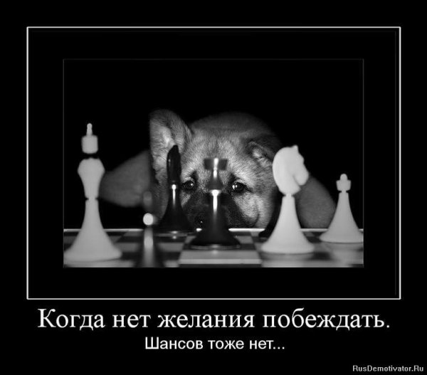 Шахматы демотиватор
