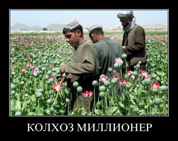 Шутки про колхозников