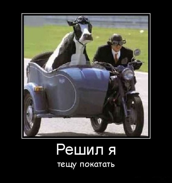 Колхоз прикол