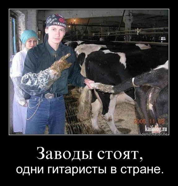 Хватит пылиться в офисе