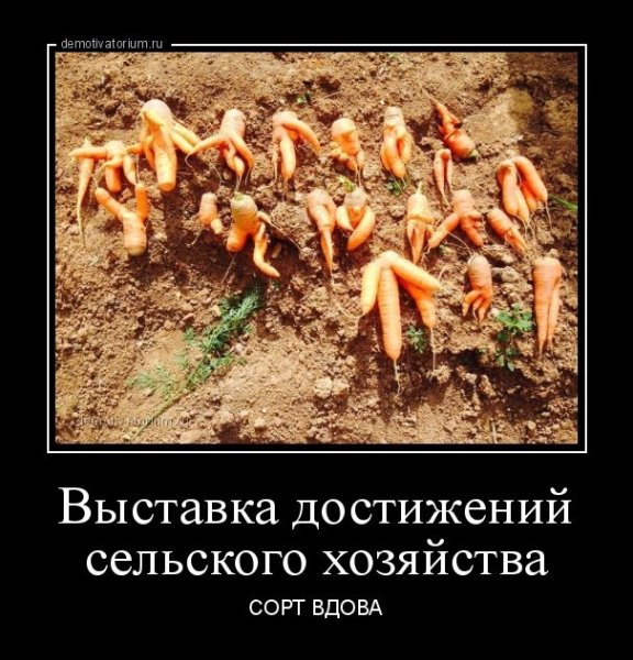 Приколы про сельское хозяйство