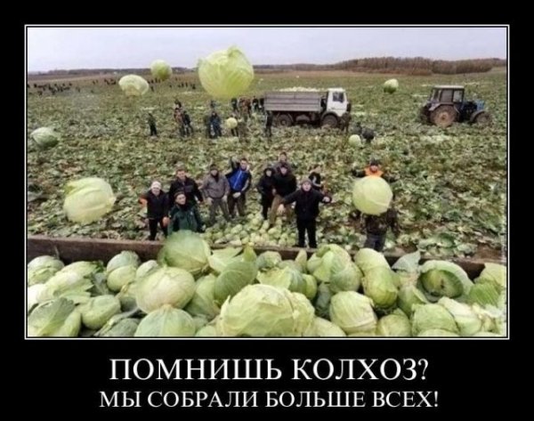 Сельское хозяйство демотиватор