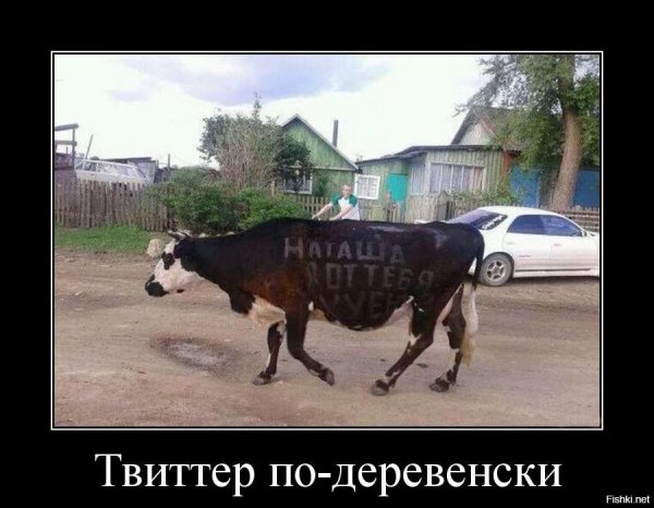 Шутки про деревню