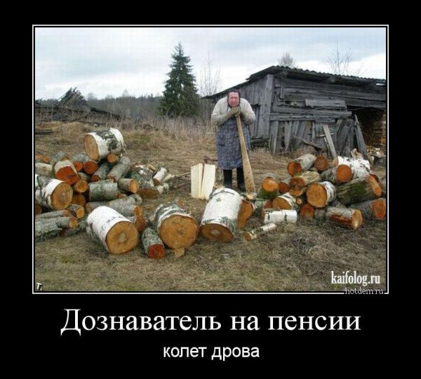 Дрова приколы