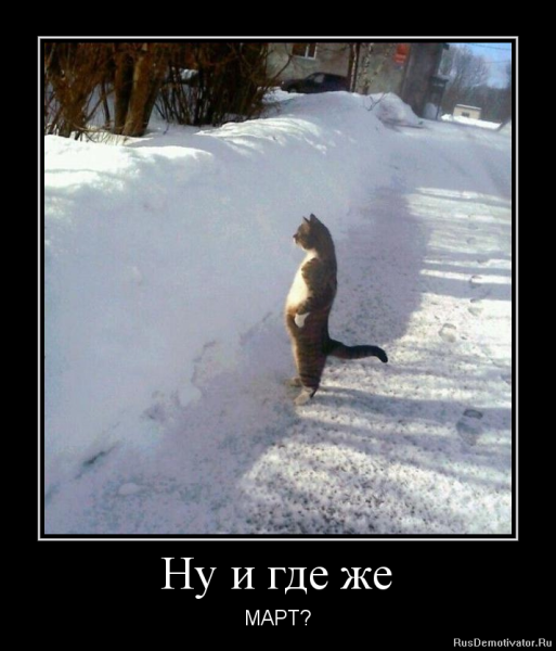 Весна демотиваторы смешные