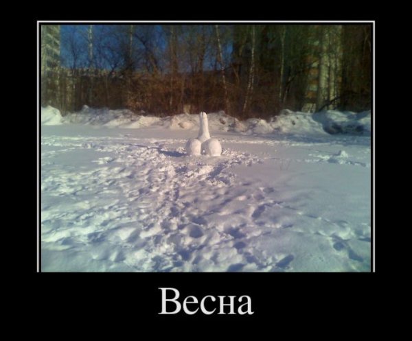 Демотиваторы про весну