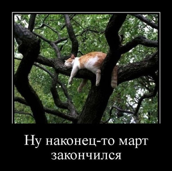 Первое апреля демотиваторы