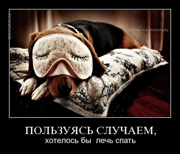 Спать демотиватор