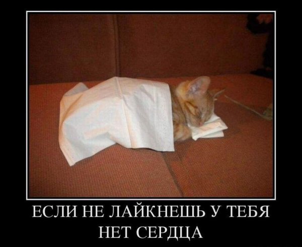 Демотиваторы про сон
