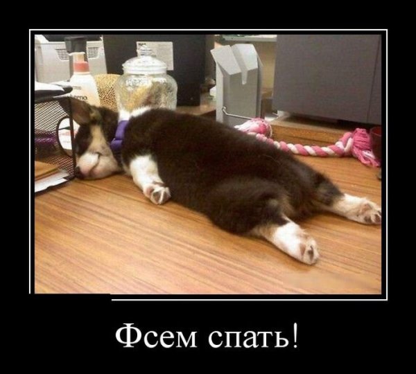 Спать демотиватор