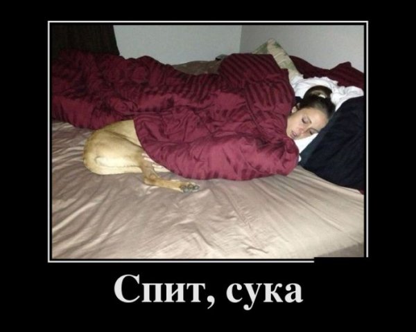 Демотиваторы про сон