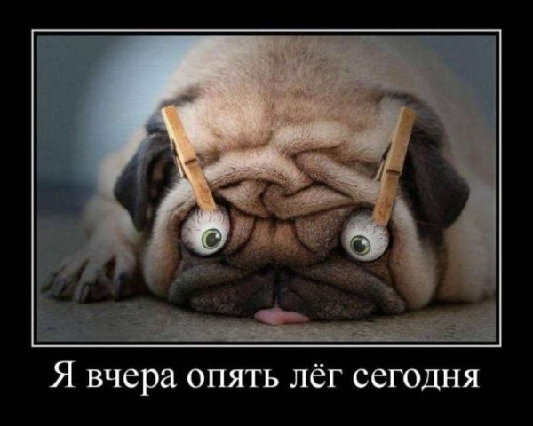 С добрым утром демотиваторы смешные