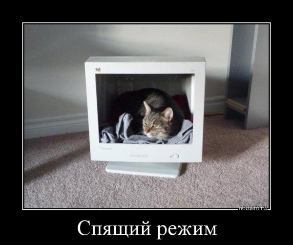 Демотиваторы про сон