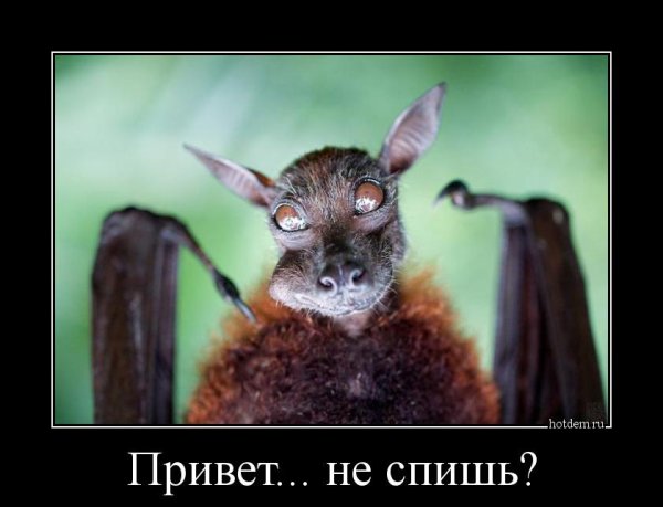 Демотиваторы про сон