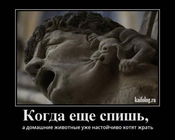 Спать демотиватор