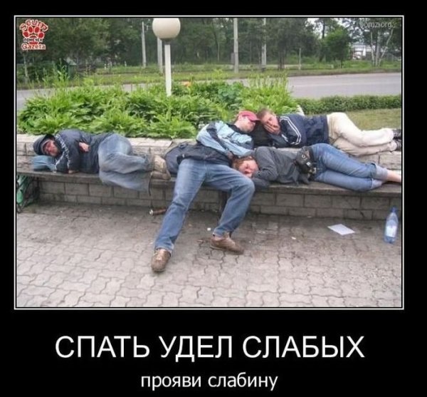 Кто рано встаёт тому