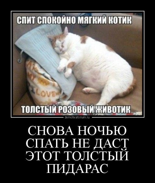 Демотиваторы для поднятия настроения