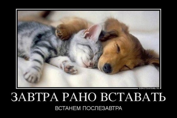 Демотиваторы про бездельников