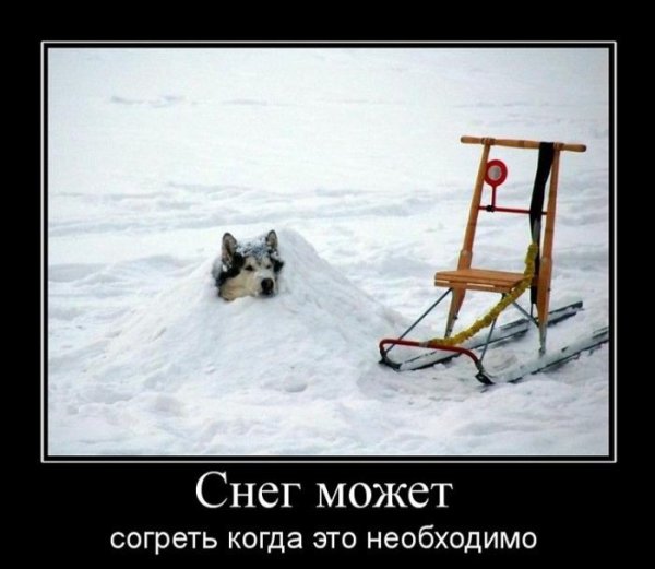 Демотиваторы про зиму прикольные