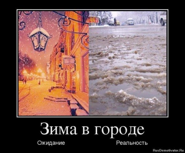 Демотиваторы про зиму смешные