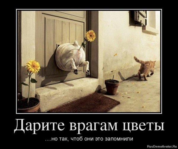 Месть это блюдо которое подается холодным