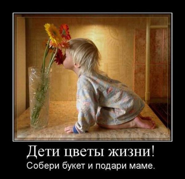 Дети цветы жизни смешные