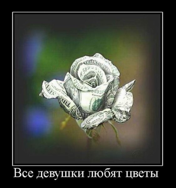 Демотиваторы цветы