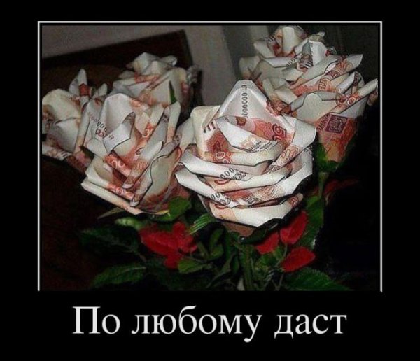 Демотиваторы про цветочки