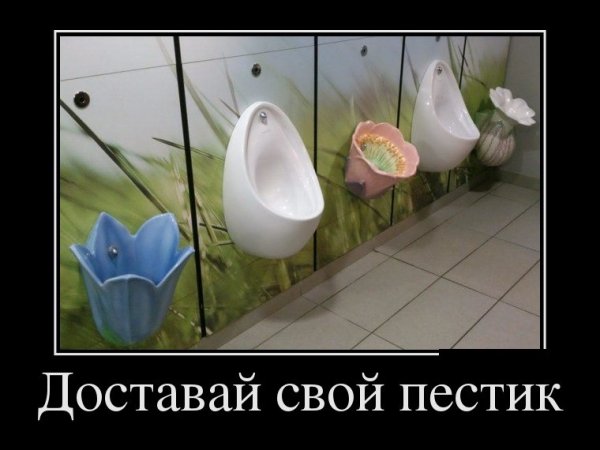 Демотиваторы цвета